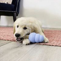 KONG Enhanced Ziggies Puppy Zahnstick S