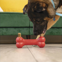 KONG Enhanced Ziggies Classic Kausticks S