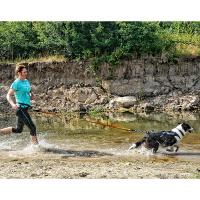 Non-stop dogwear Laufleine Bungee leash 2.0 aqua mint 2.0m - 23mm