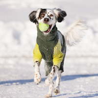 Goldpaw Signature Suit Pullover mit Beinen Overall