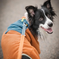 Woolly Wolf Aplha 360 Fleece Pullover Hundepullover Terrakotta 70