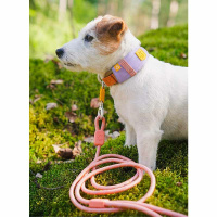 Woolly Wolf Alpha 360 Halsband für Hunde Lavendel XL