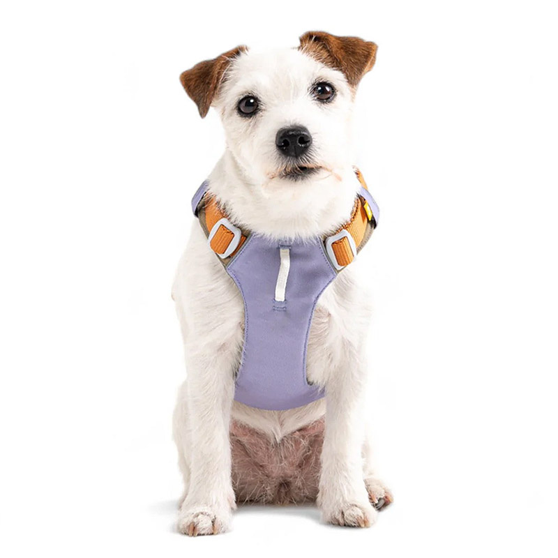 Woolly Wolf Alpha 360 Hundegeschirr für Hunde Lavendel XS