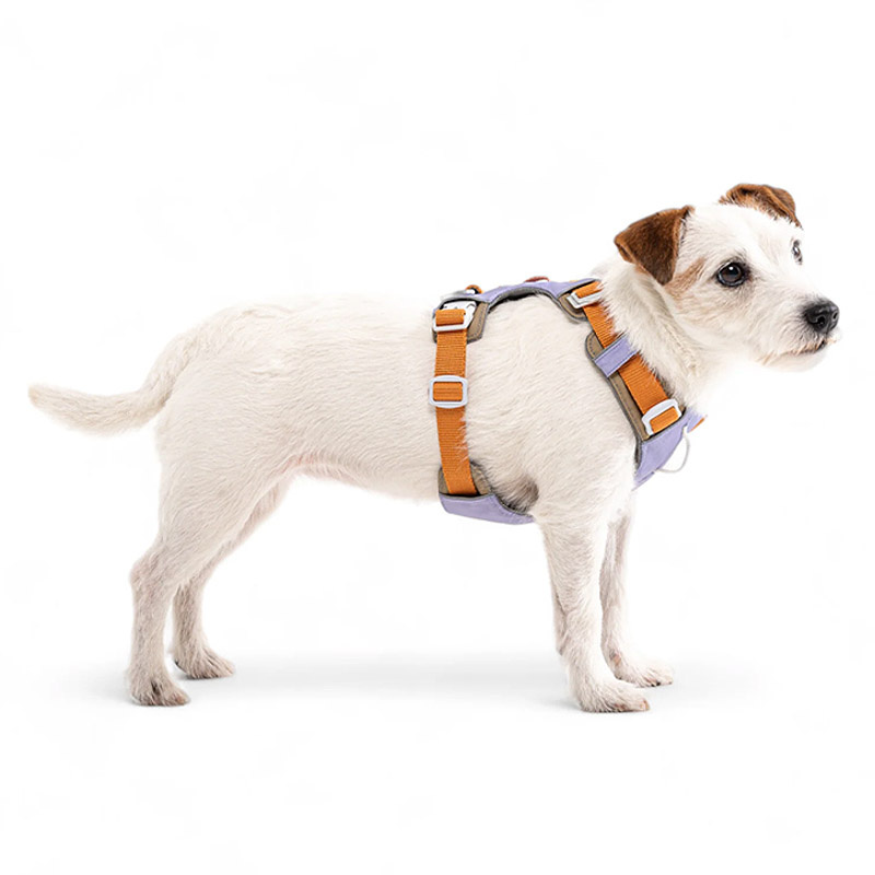 Woolly Wolf Alpha 360 Hundegeschirr für Hunde Lavendel XS