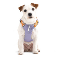 Woolly Wolf Alpha 360 Hundegeschirr für Hunde Lavendel L