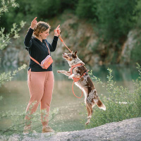 Woolly Wolf Alpha 360 Hip Bag Hüfttasche