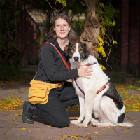 AnnyX Brustgeschirr Hundegeschirr Fun Limited Edition Pflaume trifft Zimt XS Steg kurz 16,5