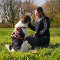 AnnyX Brustgeschirr Hundegeschirr Fun Limited Edition Pflaume trifft Zimt M