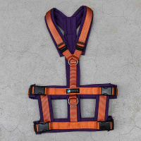 AnnyX Sicherheitsgeschirr Safety Limited Edition Pflaume trifft Zimt M