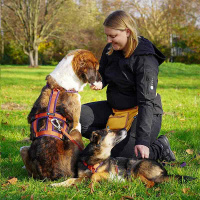 AnnyX Führleine verstellbar Safety FUN Limited...