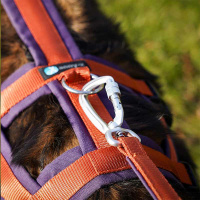 AnnyX Führleine verstellbar Safety FUN Limited...