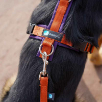 AnnyX Führleine verstellbar Bolt FUN Limited Edition Pflaume trifft Zimt Middle