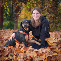 AnnyX Brustgeschirr Hundegeschirr FUN ahorn XS