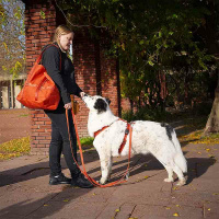 AnnyX Führleine verstellbar Safety FUN Ahorn 20 mm | vollgepolstert