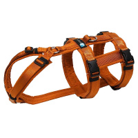 AnnyX Sicherheitsgeschirr Safety Ahorn L