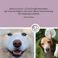 ANNIMALLY Augenpads Augenpflege für Hunde