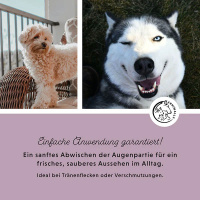 ANNIMALLY Augenpads Augenpflege für Hunde 100 Stk.