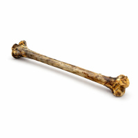 PITUPITA Straußenknochen einzeln - JUMBO ca. 50cm