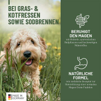 REAVET Gras & Kotfresser Drops für Hunde 350g