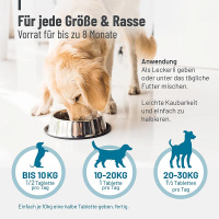 REAVET Gelenktabletten Forte für Hunde