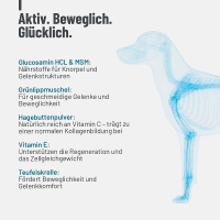 REAVET Gelenktabletten Forte für Hunde 120 Stk.