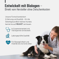 REAVET Gelenktabletten Forte für Hunde 120 Stk.