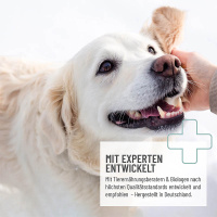 REAVET Zink Tabletten für Haut und Fell für Hunde 120 Stk.