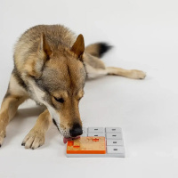 PAWZLER Terra Erweiterung für die Pawzler-Basis