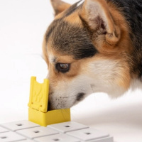 PAWZLER Zoey 4er Set zur Erweiterung der Pawzler Basis