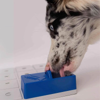 PAWZLER Onix 2er Set zur Erweiterung der Pawzler-Basis