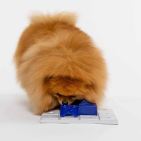 PAWZLER Sela 2er Set zur Erweiterung der Pawzler-Basis