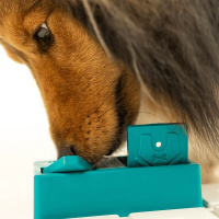 PAWZLER Nai 2er Set zur Erweiterung der Pawzler-Basis