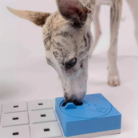 PAWZLER Oli Erweiterung der Pawzler-Basis