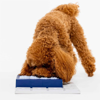 PAWZLER Louvre Erweiterung der Pawzler-Basis