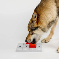 PAWZLER Peach 4er Set Erweiterung der Pawzler-Basis