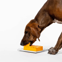 PAWZLER Piper Erweiterung der Pawzler-Basis