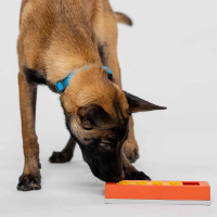 PAWZLER Zhu Erweiterung der Pawzler-Basis