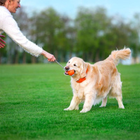 LIKER Cord Hundeball mit Seil, Apportierspielzeug schwimmfähig, orange M 7cm