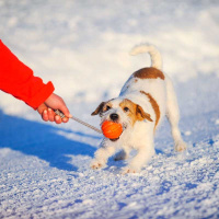 LIKER Cord Hundeball mit Seil, Apportierspielzeug schwimmfähig, orange L 9cm