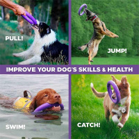 PULLER Dog Fitness Tool Trainingsspielzeug XS 18cm lila violett