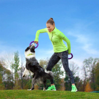 PULLER Dog Fitness Tool Trainingsspielzeug S 19,5cm lila violett