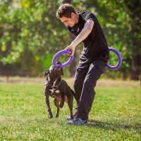 PULLER Dog Fitness Tool Trainingsspielzeug S 19,5cm lila violett