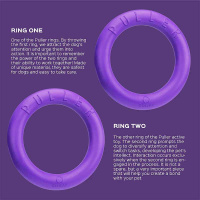 PULLER Dog Fitness Tool Trainingsspielzeug M 28cm lila violett