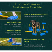 FitPaws FitKinect Core FitKinect Xtra für Agility & Training