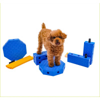 FitPaws FitKinect Core für Agility & Training