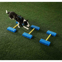 FitPaws FitKinect Core für Agility & Training