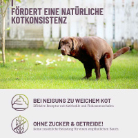 REAVET Feste Häufchen Drops für Hunde