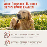 REAVET Haut & Fell Komplex Drops für Hunde