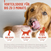 REAVET Haut & Fell Komplex Drops für Hunde
