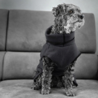 Warmover Cape mini Pullover für kleine Hunde dunkelgrau 35cm